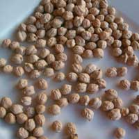 White Chickpeas